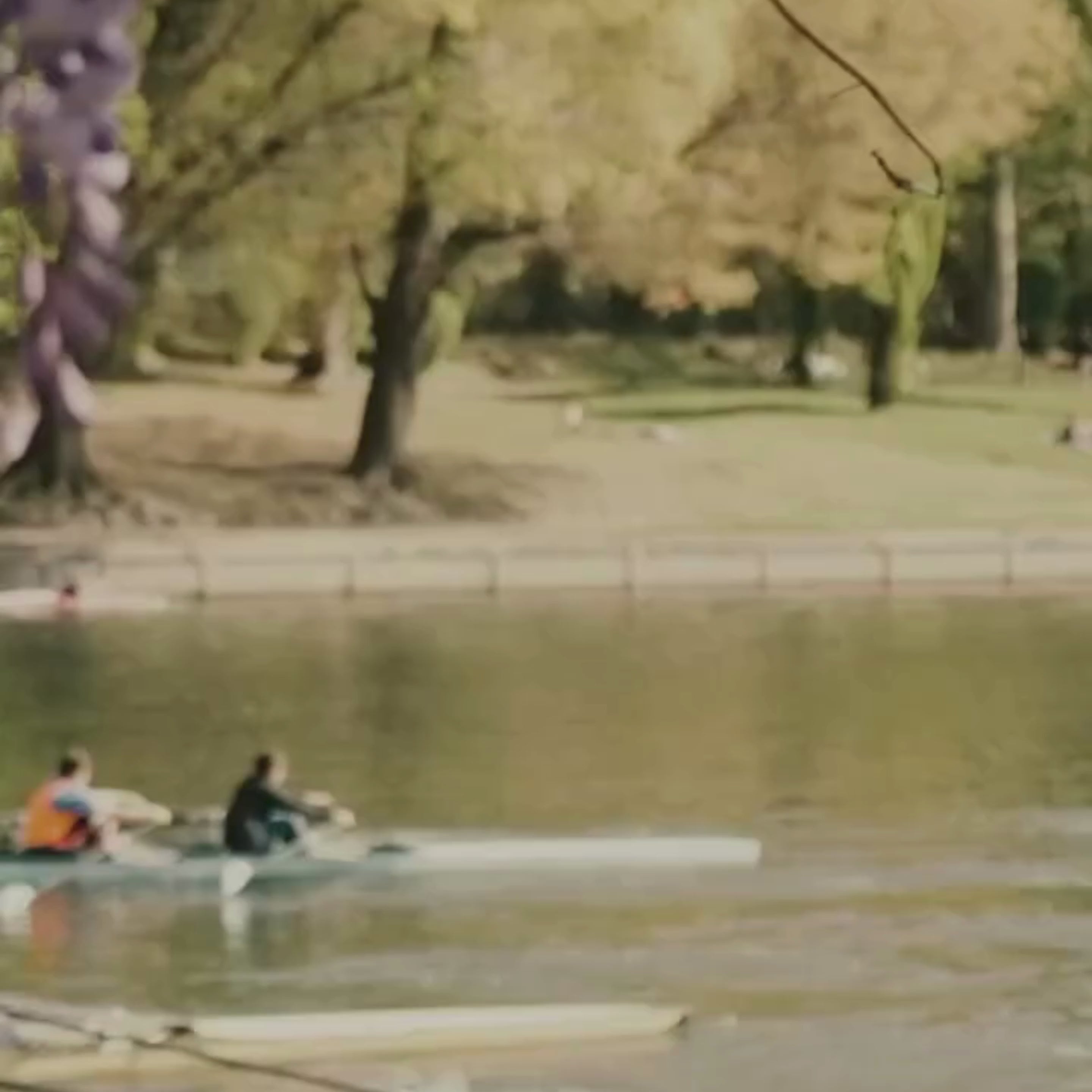 Charger la vidéo :