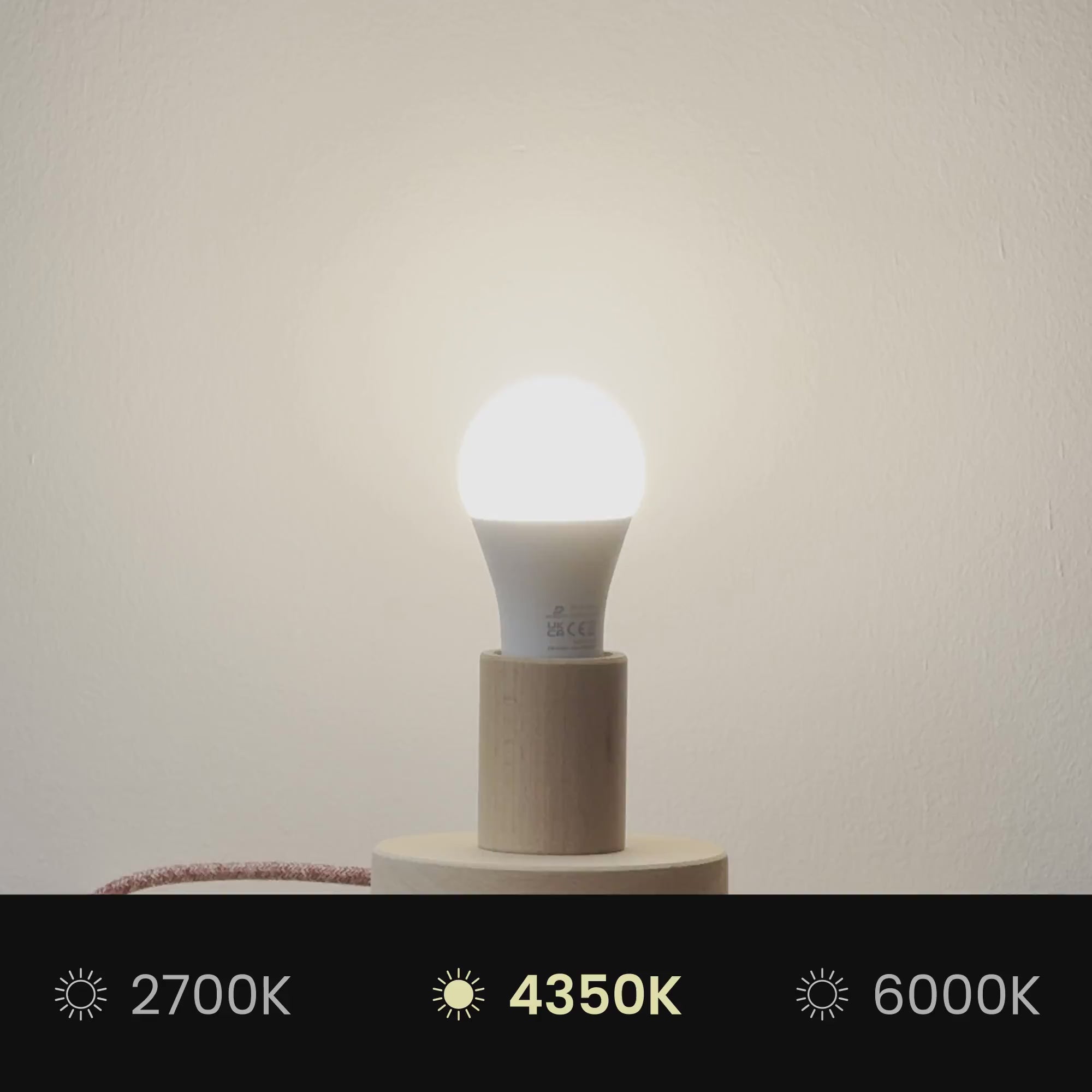 Charger la vidéo : Abat-jour Athena avec douille E27 pour lampe de table ou sur pied - Made in Italy - Teletta Anthracite