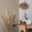 Flex 60 applique ou plafonnier articulé à lumière diffuse avec ampoule LED ST64