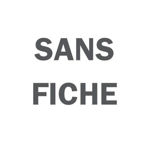 Sans prise