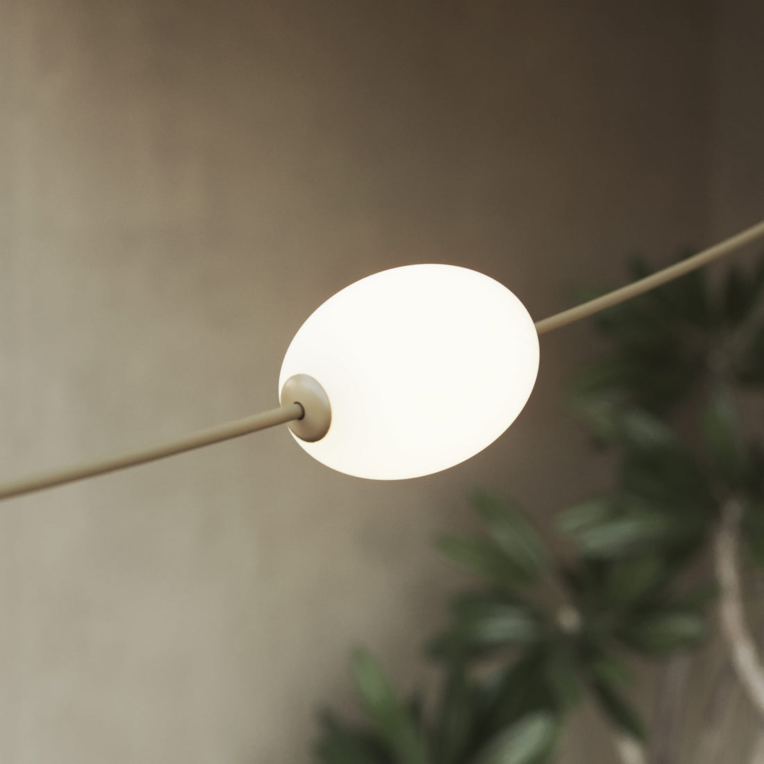 <strong>Lumière diffuse et homogène</strong>